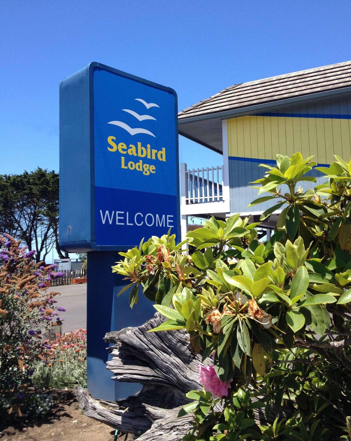 Seabird Lodge Форт Браг Екстериор снимка